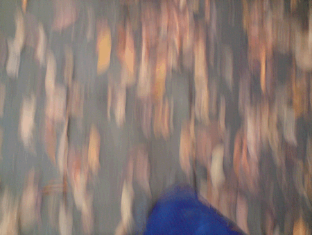 aniautumn2